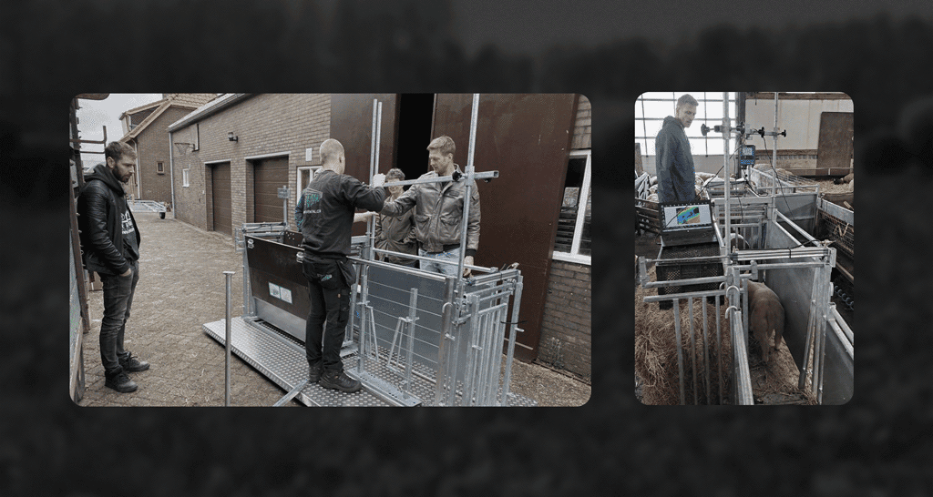 CoolSheep project